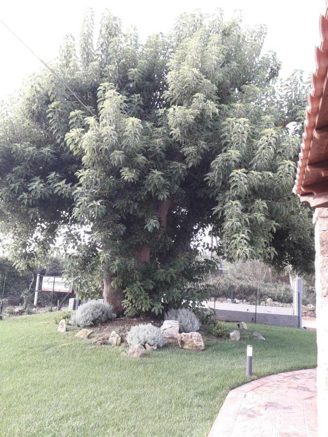 פורטו טורס Agriturismo Quattro Mori מראה חיצוני תמונה
